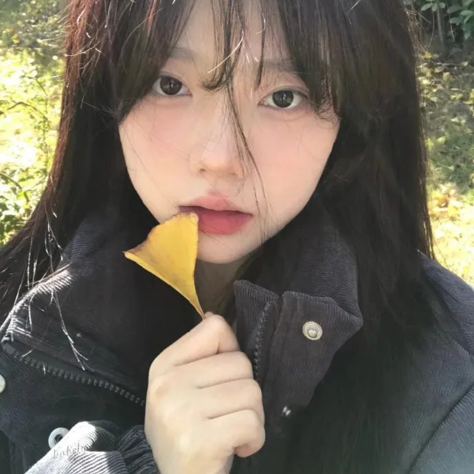 探员卡特