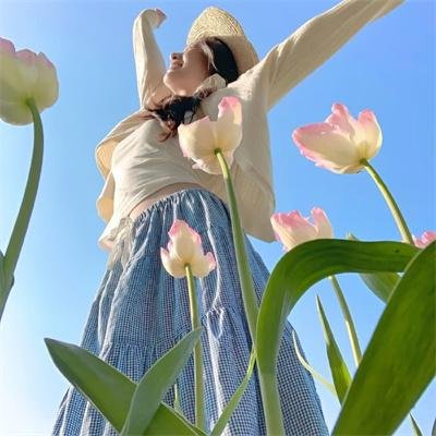 马里兰庄园